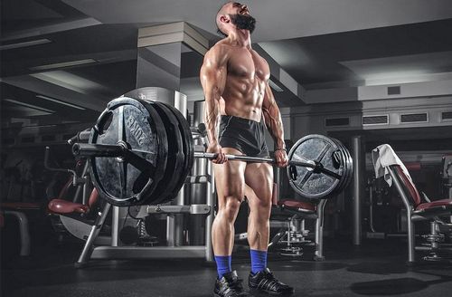 Clenbuterol 0.05 mg Elbrus Pharmaceuticals vía de administración